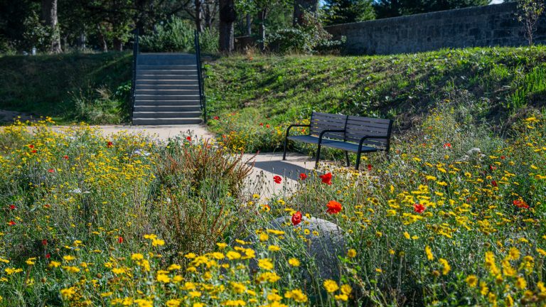 Edinburgh Council Launches Green Investment Scheme for Local Climate Projects