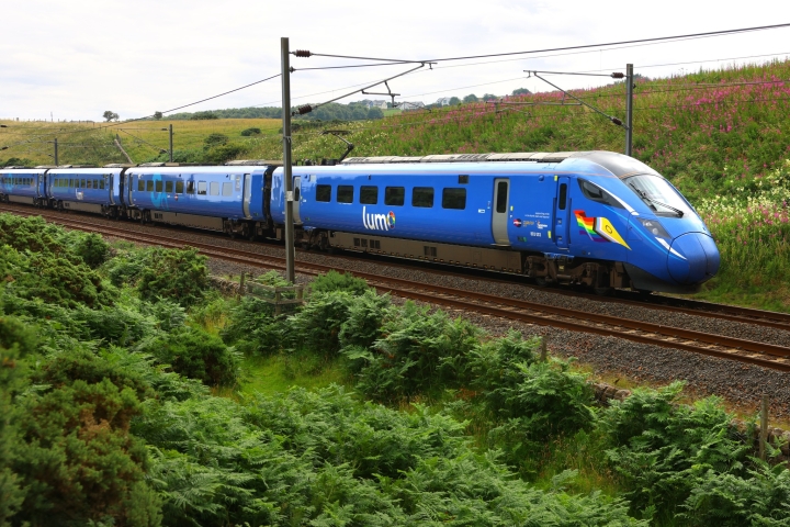 Pride-Train.jpg
